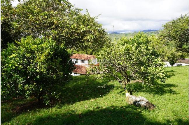 Fincas y Casas Campestres, Venta, Dagua - $650.000.000