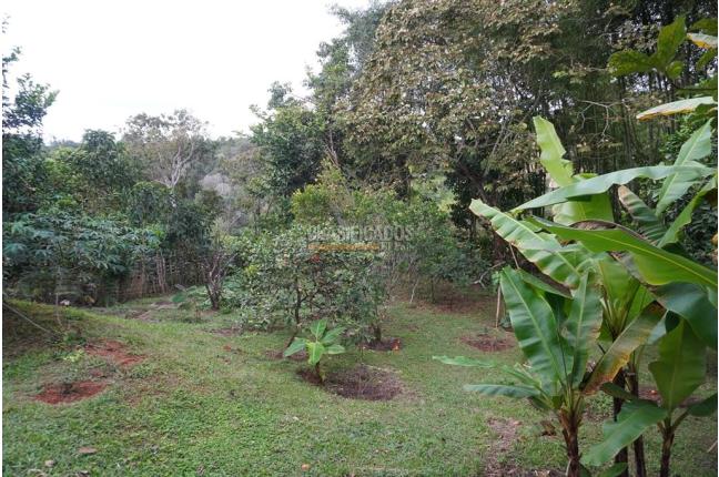 Fincas y Casas Campestres, Venta, Dagua - $490.000.000