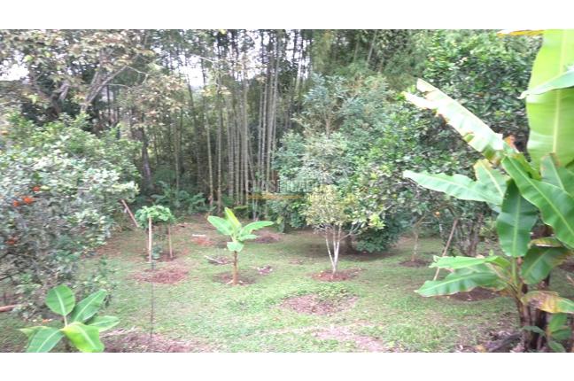 Fincas y Casas Campestres, Venta, Dagua - $490.000.000