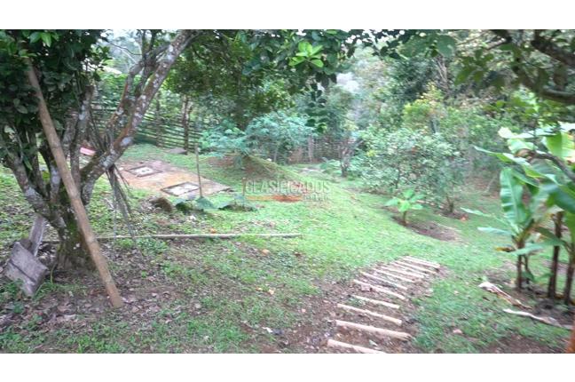 Fincas y Casas Campestres, Venta, Dagua - $490.000.000