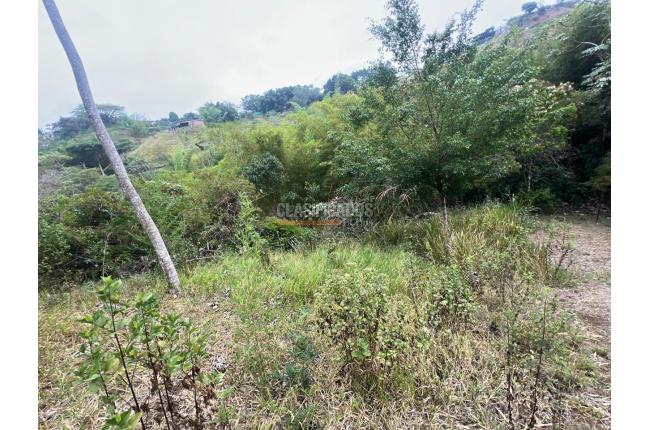 Casas, Venta, La Buitrera - $500.000.000