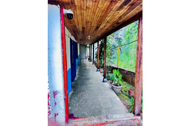 Fincas y Casas Campestres, Venta, Caicedonia - $380.000.000