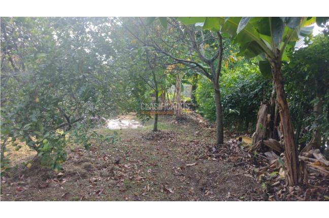 Casas, Venta, La Reforma - $1.000.000.000