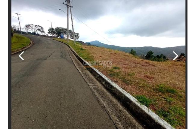 Lotes, Venta en Dapa