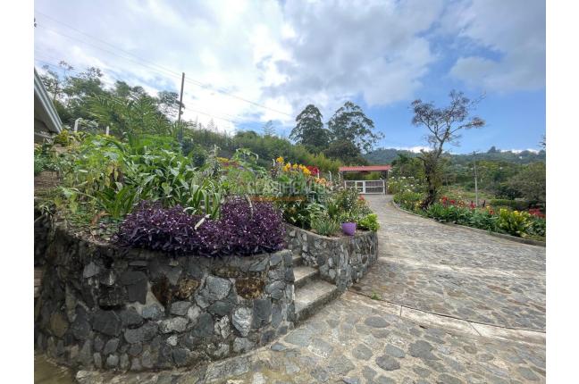 Fincas y Casas Campestres, Venta, Dapa