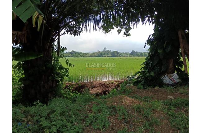 Casas, Venta, Jamundí - $215.000.000