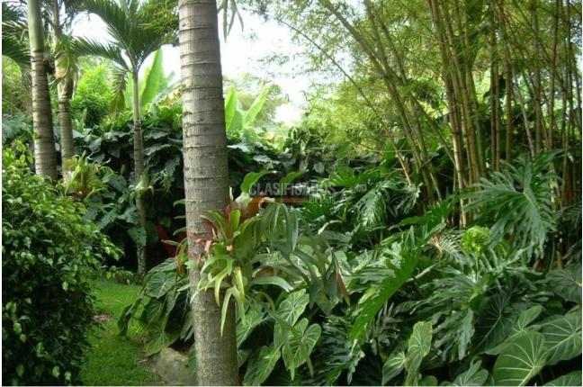 Casas, Venta, Pance - $3.500.000.000