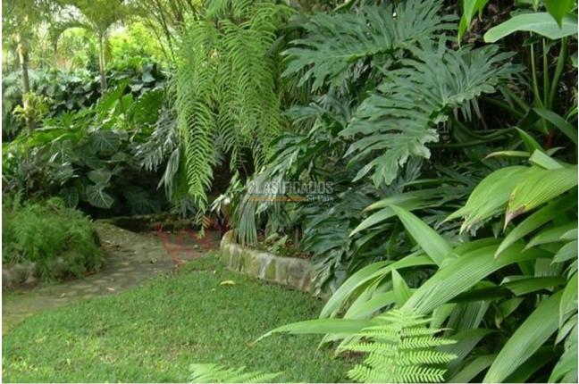 Casas, Venta, Pance - $3.500.000.000