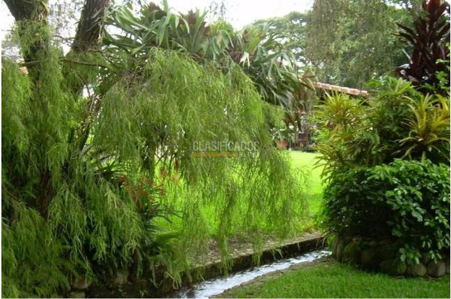 Casas, Venta, Pance - $3.500.000.000