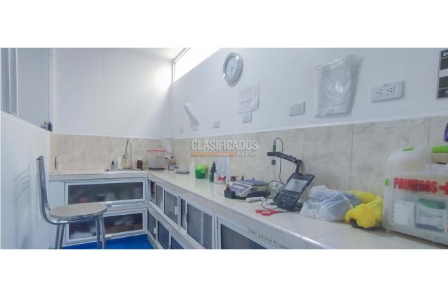 Locales y Bodegas, Venta, Obrero - $480.000.000