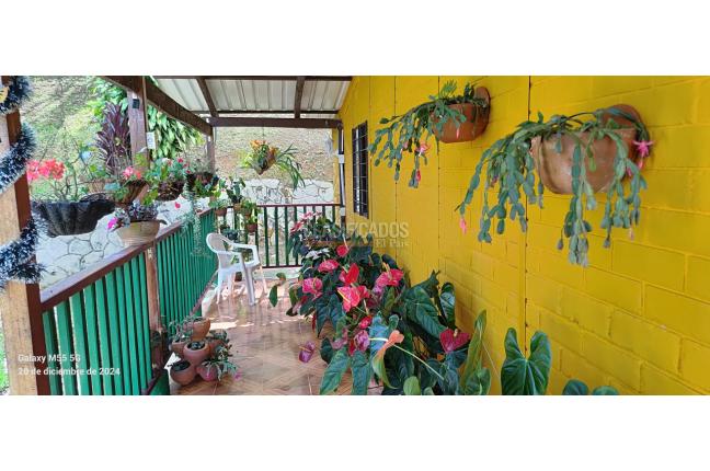 Casas, Venta en Dagua