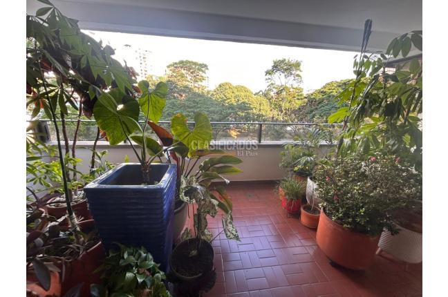 Apartamentos, Venta, Santa Teresita - $780.000.000