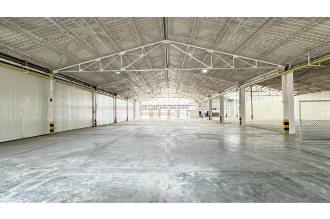 Locales y Bodegas, Alquiler, Salomia - $45.525.000