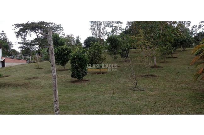 Fincas y Casas Campestres, Venta, Dagua - $650.000.000