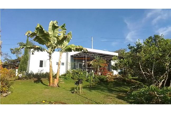 Fincas y Casas Campestres, Venta, Dagua - $350.000.000