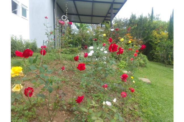 Fincas y Casas Campestres, Venta, Dagua - $350.000.000