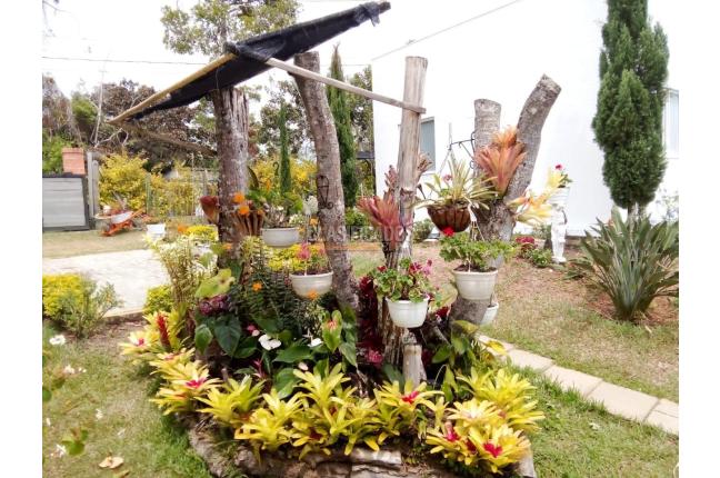 Fincas y Casas Campestres, Venta, Dagua - $350.000.000