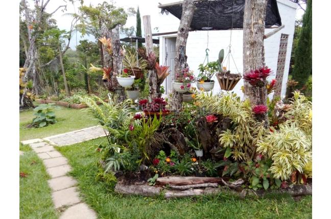 Fincas y Casas Campestres, Venta, Dagua - $350.000.000