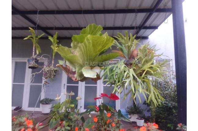 Fincas y Casas Campestres, Venta, Dagua - $350.000.000