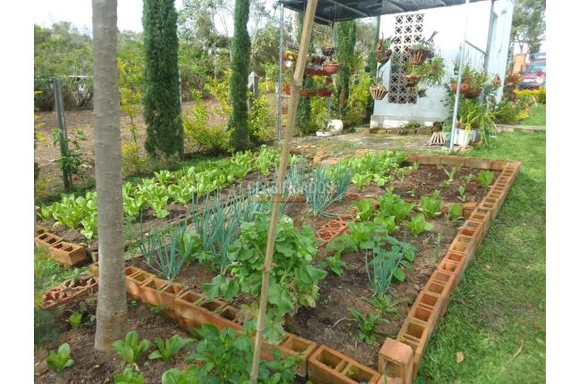 Fincas y Casas Campestres, Venta, Dagua - $350.000.000