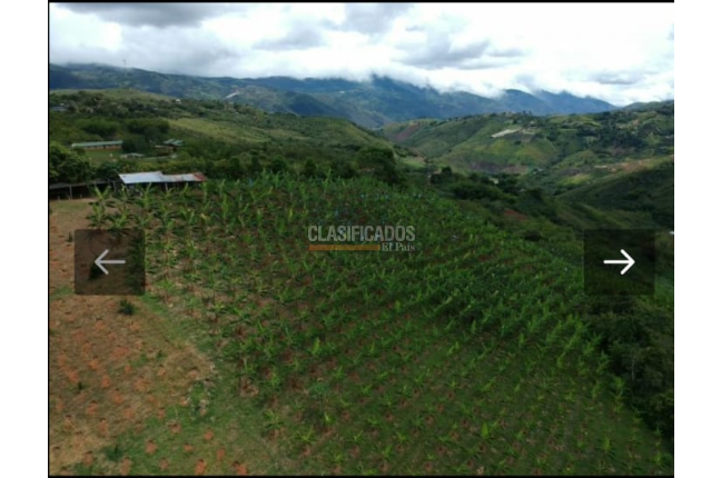 Fincas y Casas Campestres, Venta, Dagua - $680.000.000