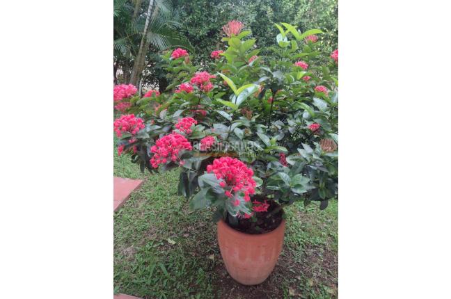 Fincas y Casas Campestres, Venta, La Morada - $1.600.000.000