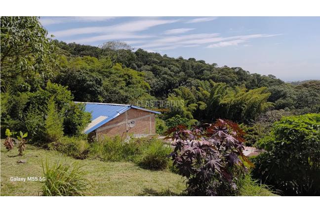 Fincas y Casas Campestres, Venta, Pance - $1.600.000.000