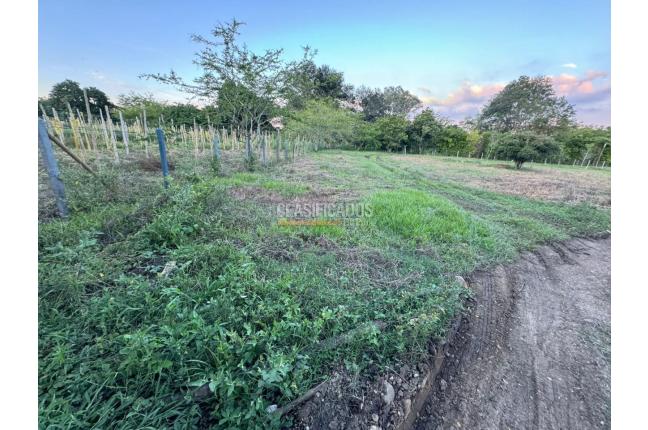 Lotes, Venta en Pance