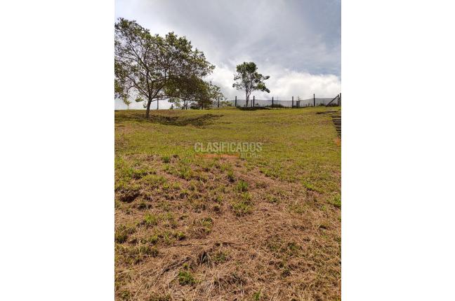 Lotes, Venta, Dagua - $320.000.000