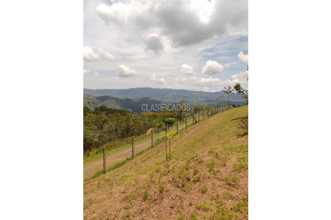 Lotes, Venta en Dagua