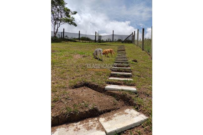 Lotes, Venta, Dagua - $320.000.000