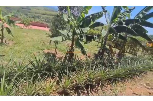 Casas, Venta, Jamundí - $550.000.000