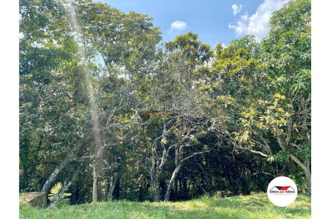 Fincas y Casas Campestres, Venta, Jamundí - $88.000.000