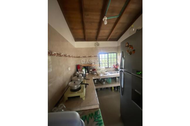 Fincas y Casas Campestres, Venta, Piendamó - $1.200.000.000