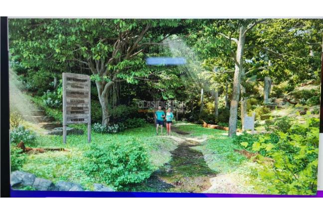 Lotes, Venta, Palmira - $200.000.000