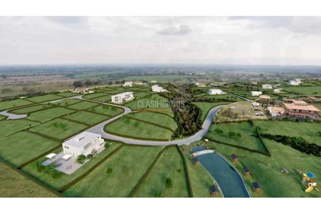 Lotes, Venta, Palmira - $200.000.000