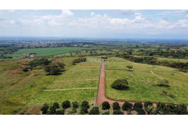 Lotes, Venta, Palmira - $200.000.000