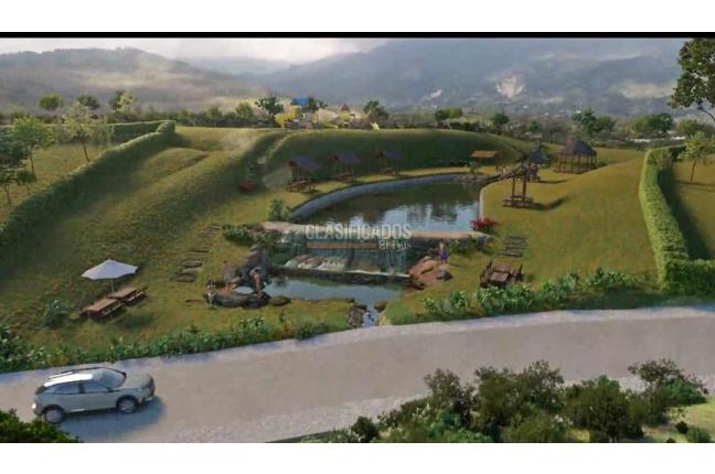 Lotes, Venta, Palmira - $200.000.000