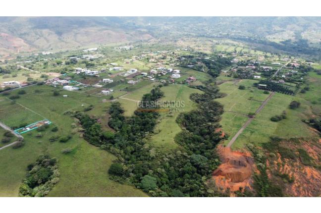 Lotes, Venta, Palmira - $200.000.000