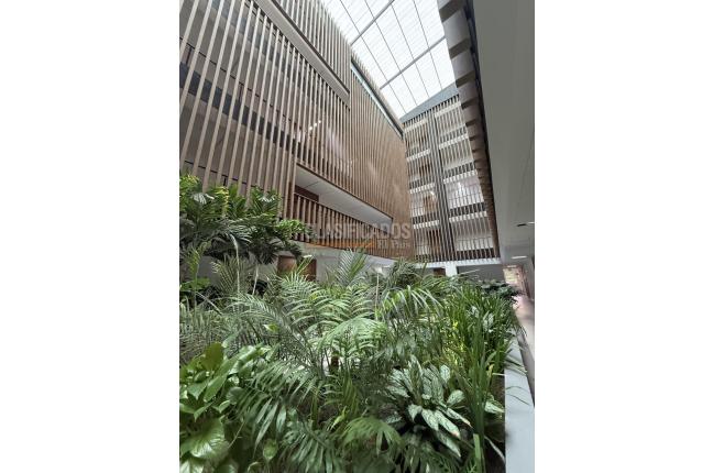 Oficinas y Consultorios, Venta en Centro Ccial. Holguines Trade Center