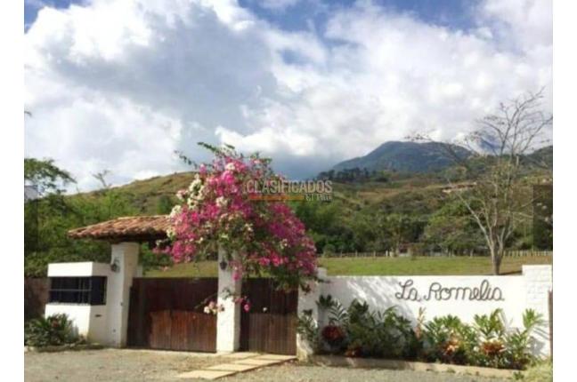 Fincas y Casas Campestres, Venta, El Cerrito - $990.000.000