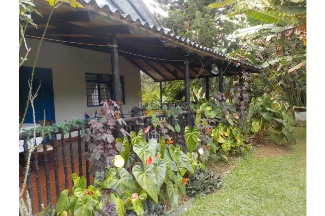 Fincas y Casas Campestres, Venta en Dagua