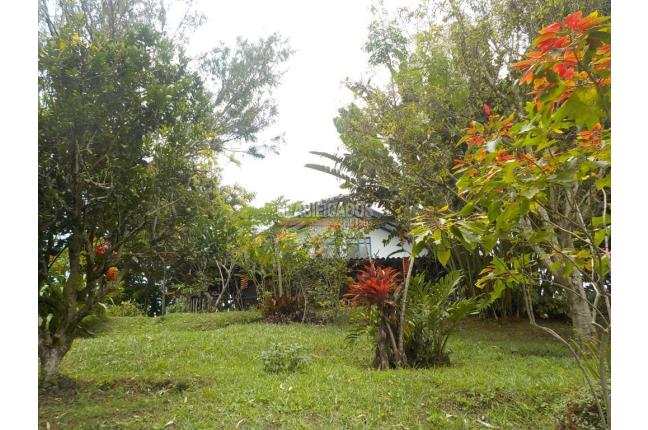 Fincas y Casas Campestres, Venta, Dagua - $620.000.000