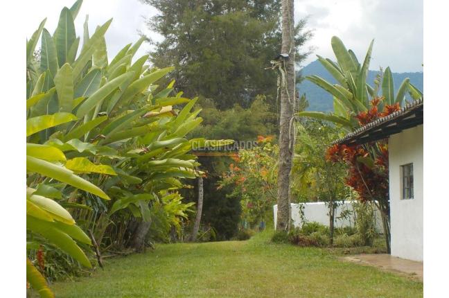 Fincas y Casas Campestres, Venta, Dagua - $620.000.000