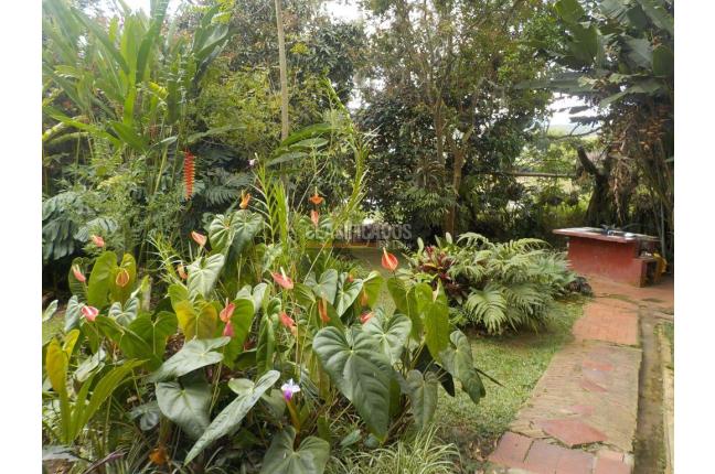 Fincas y Casas Campestres, Venta, Dagua - $620.000.000