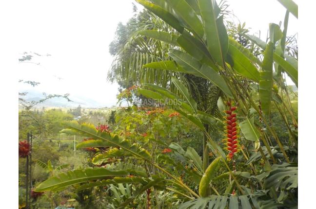 Fincas y Casas Campestres, Venta, Dagua - $620.000.000