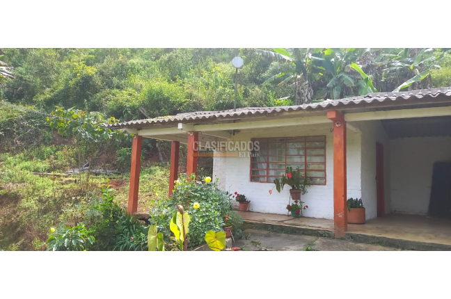 Fincas y Casas Campestres, Venta, La Elvira - $290.000.000