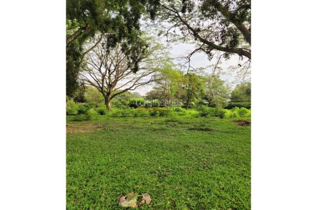 Lotes, Venta en Pance