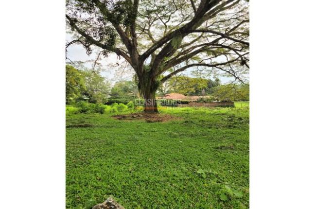 Lotes, Venta en Pance