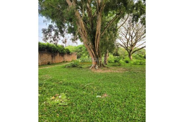 Lotes, Venta, Pance - $1.300.000.000